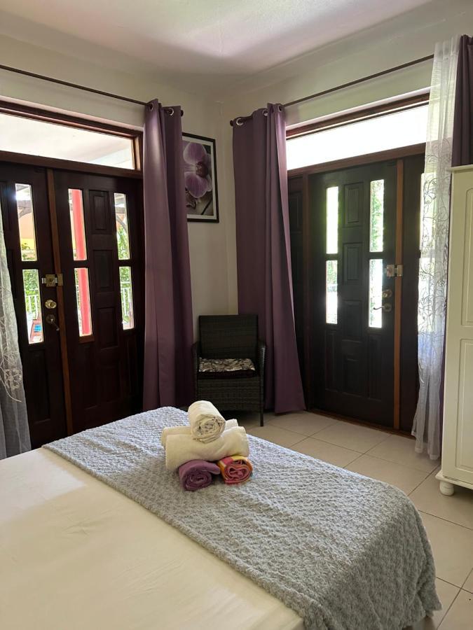Villa Les Orchidees Et Villa Alpinia بيتي-بور المظهر الخارجي الصورة