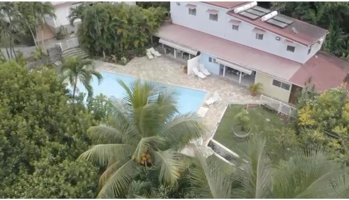 Villa Les Orchidees Et Villa Alpinia بيتي-بور المظهر الخارجي الصورة
