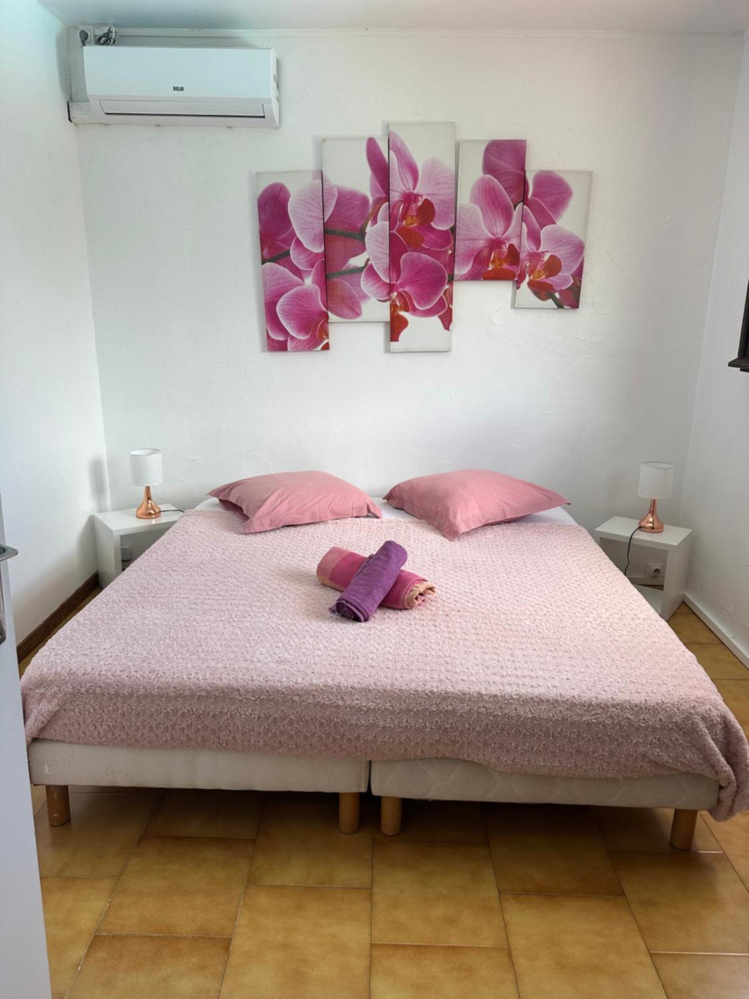 Villa Les Orchidees Et Villa Alpinia بيتي-بور المظهر الخارجي الصورة
